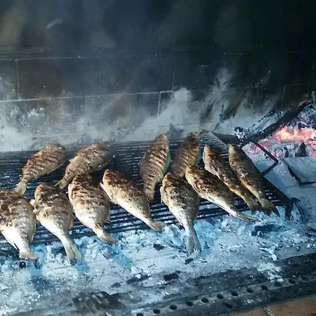 Tonci Tribunj (Sibenik-Knin)