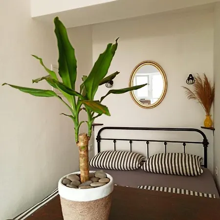 Tonci